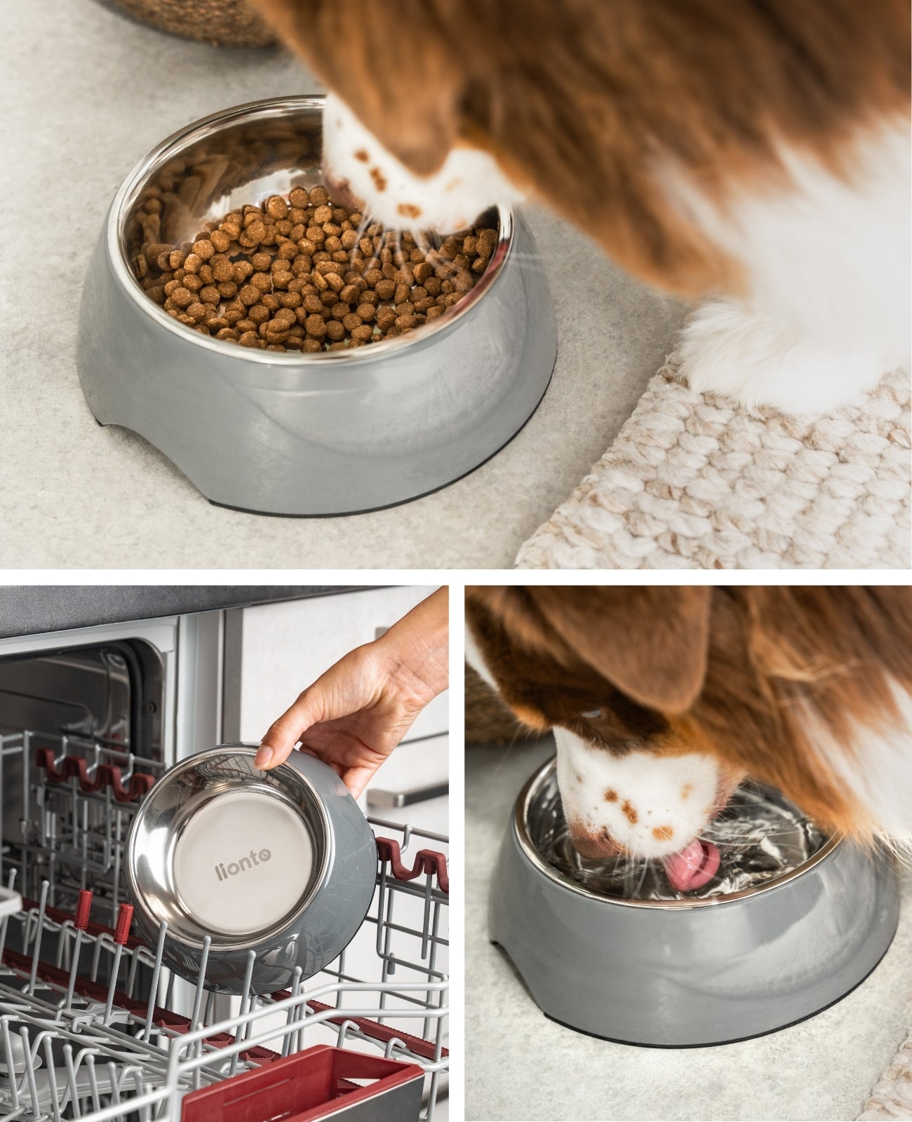 lionto Gamelle en mélamine, antidérapant, pour chien et chat, multiples versions