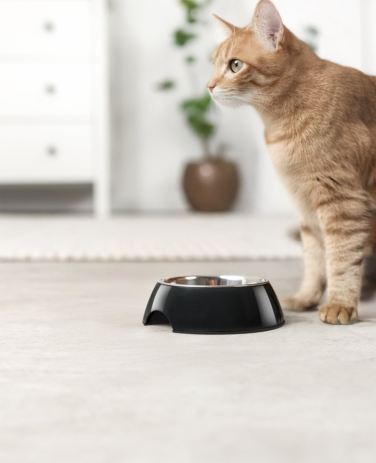 Gamelle pour chat en mélamine