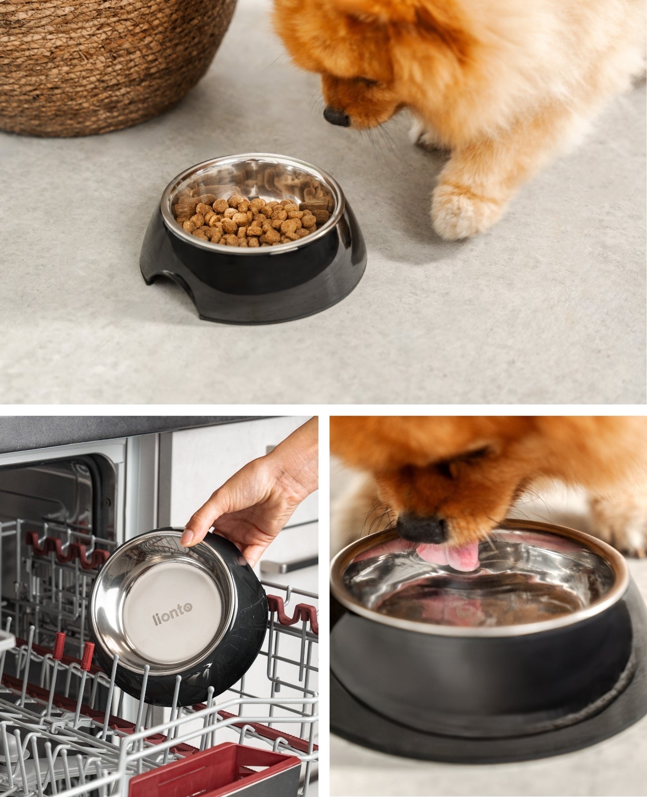 lionto Gamelle en mélamine, antidérapant, pour chien et chat, multiples versions