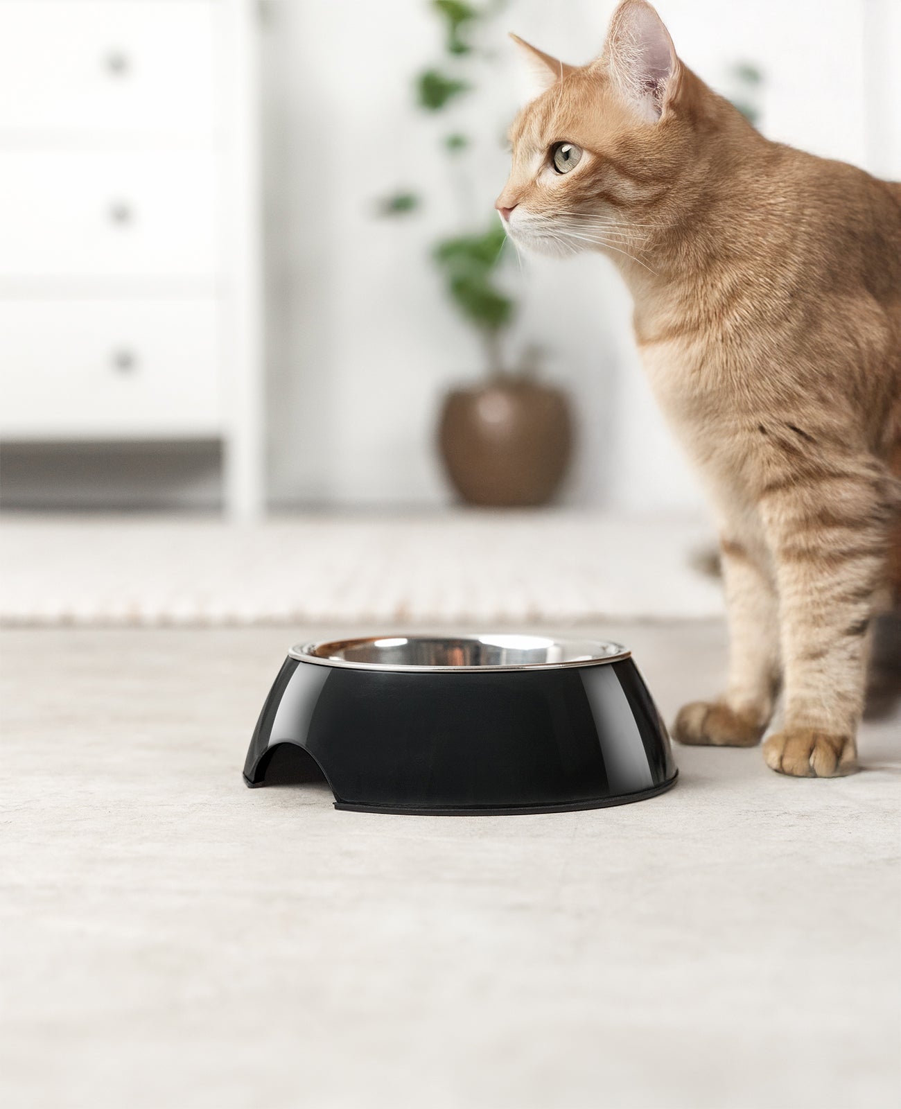 Gamelle pour chat en mélamine