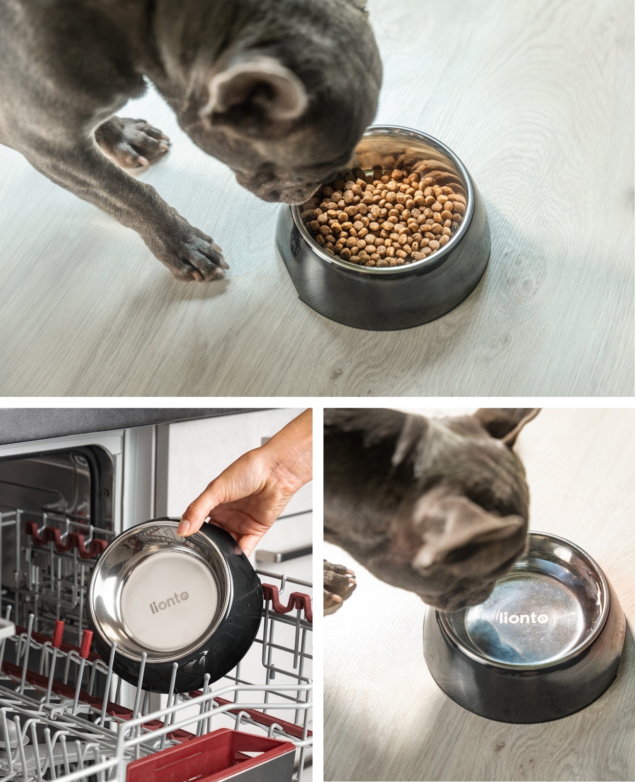 lionto Gamelle en mélamine, antidérapant, pour chien et chat, multiples versions