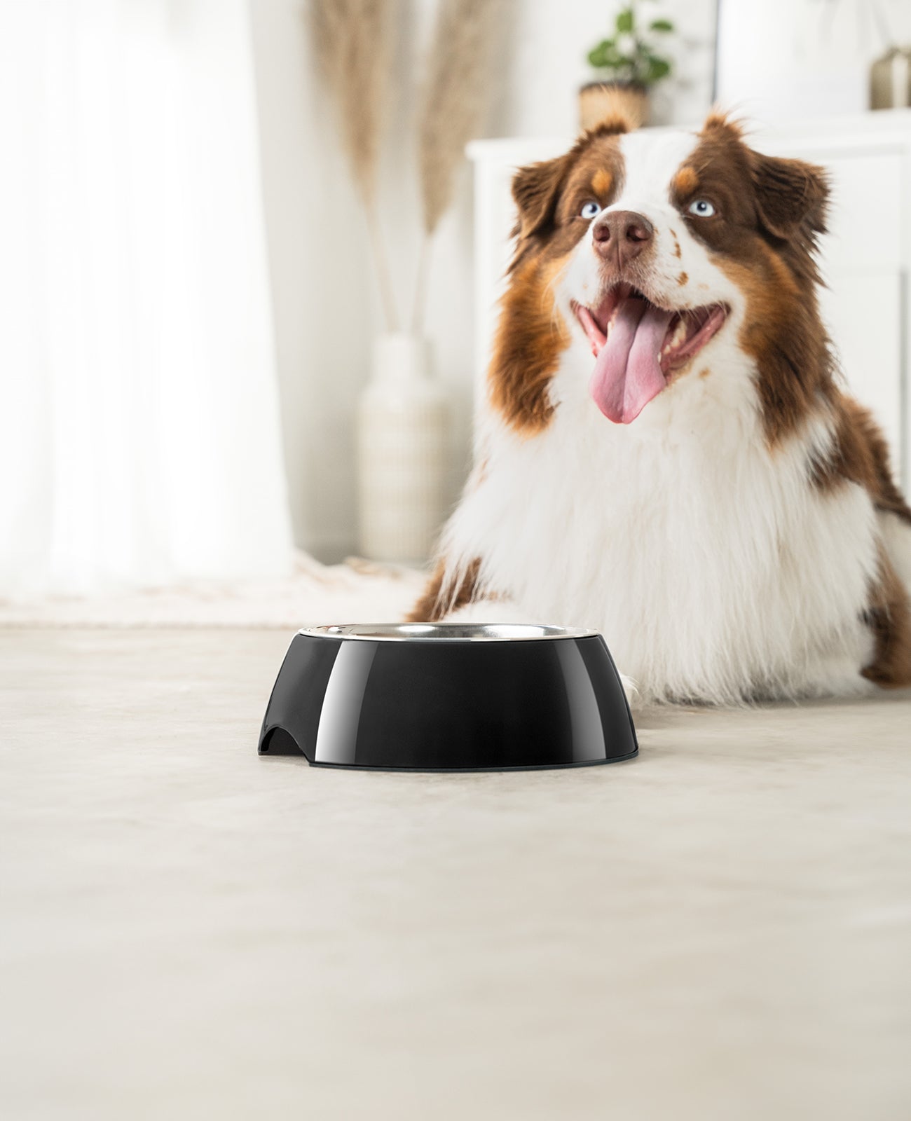 lionto Gamelle en mélamine, antidérapant, pour chien et chat, multiples versions
