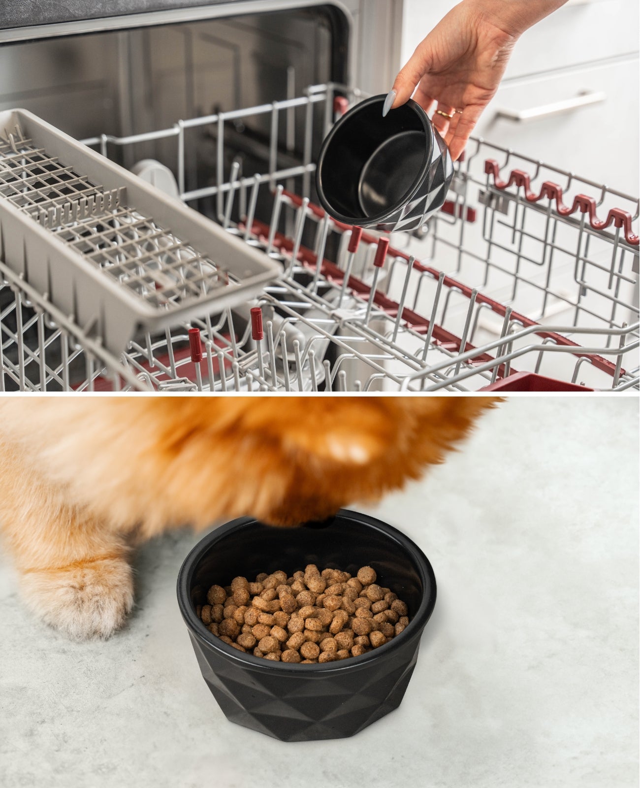 Gamelle en céramique pour chien