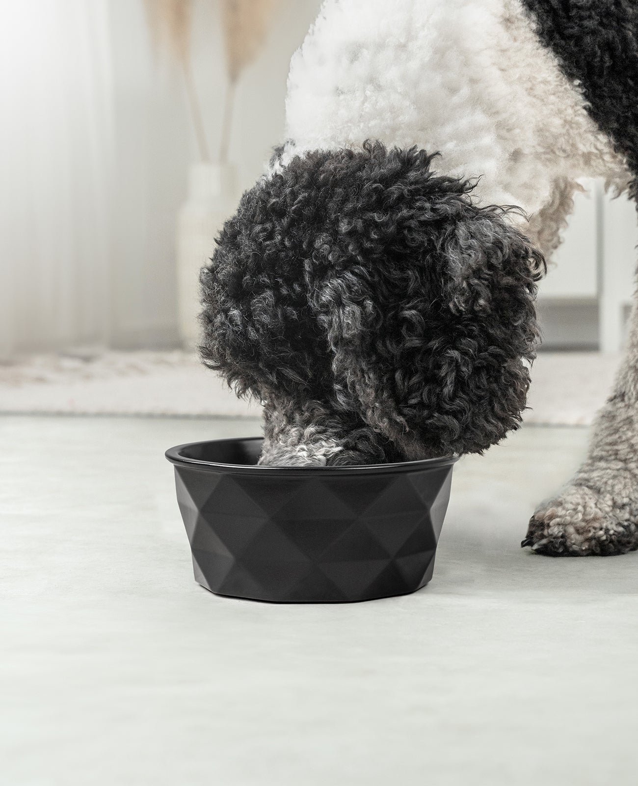 Gamelle en céramique pour chien