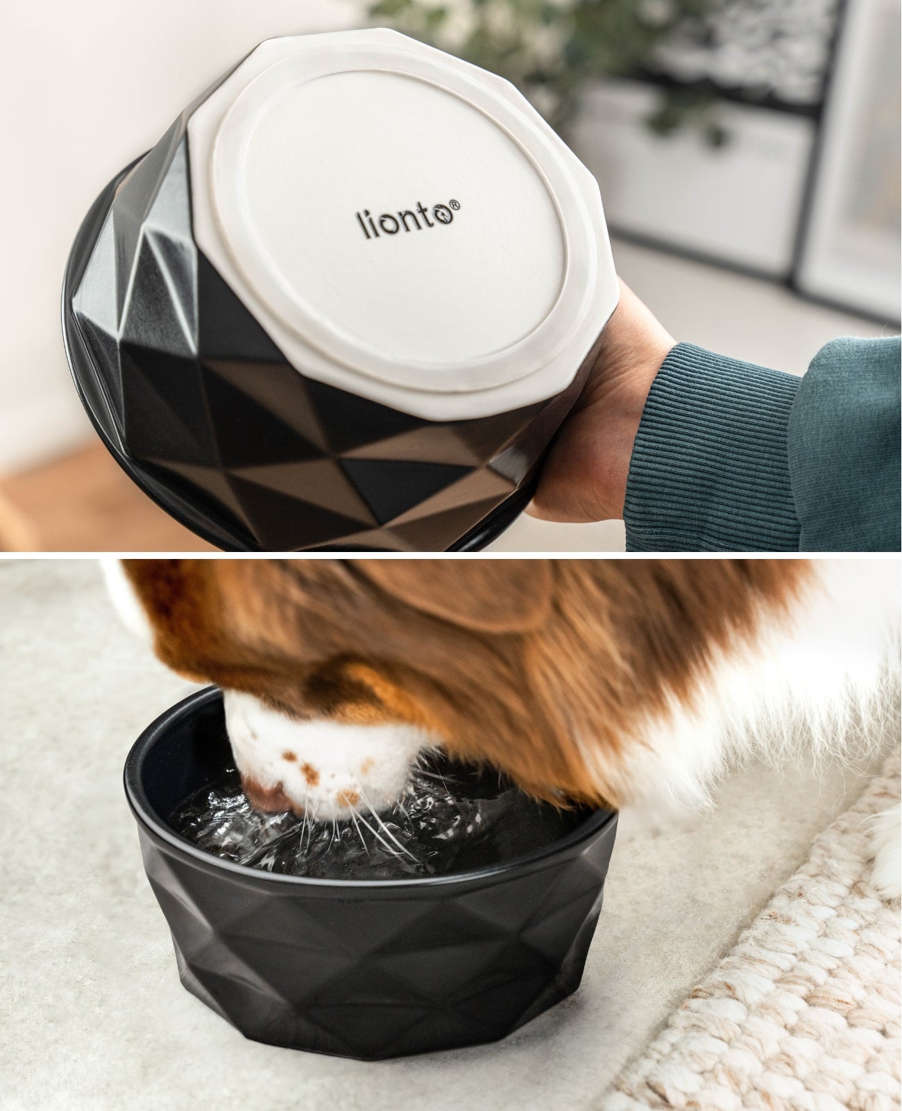 Gamelle en céramique pour chien