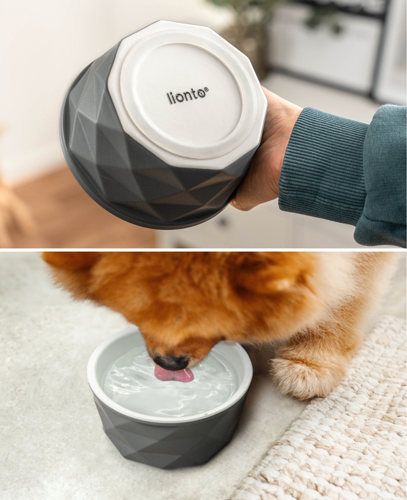 Gamelle en céramique pour chien