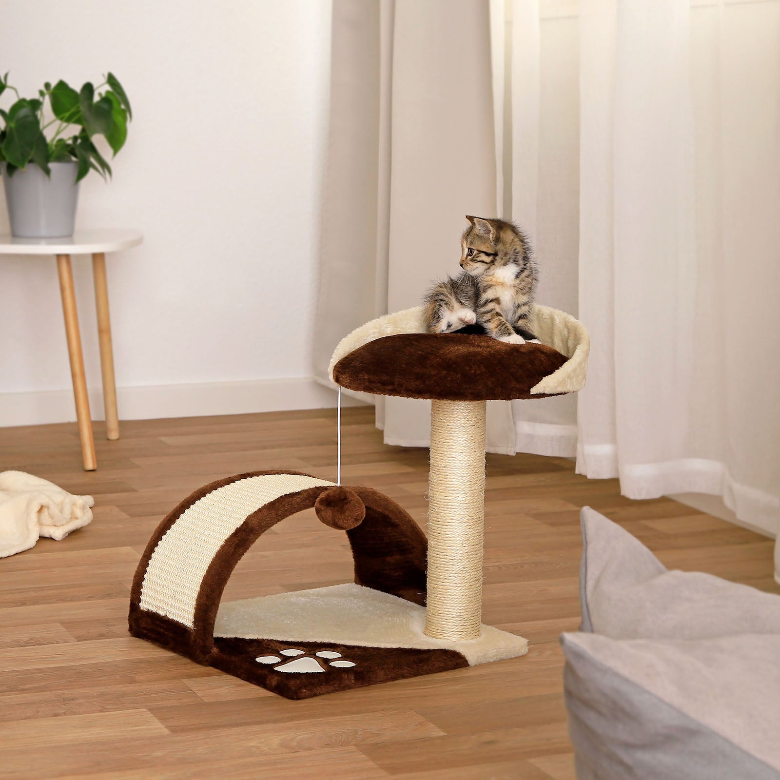 Arbre à chat hauteur 43 cm