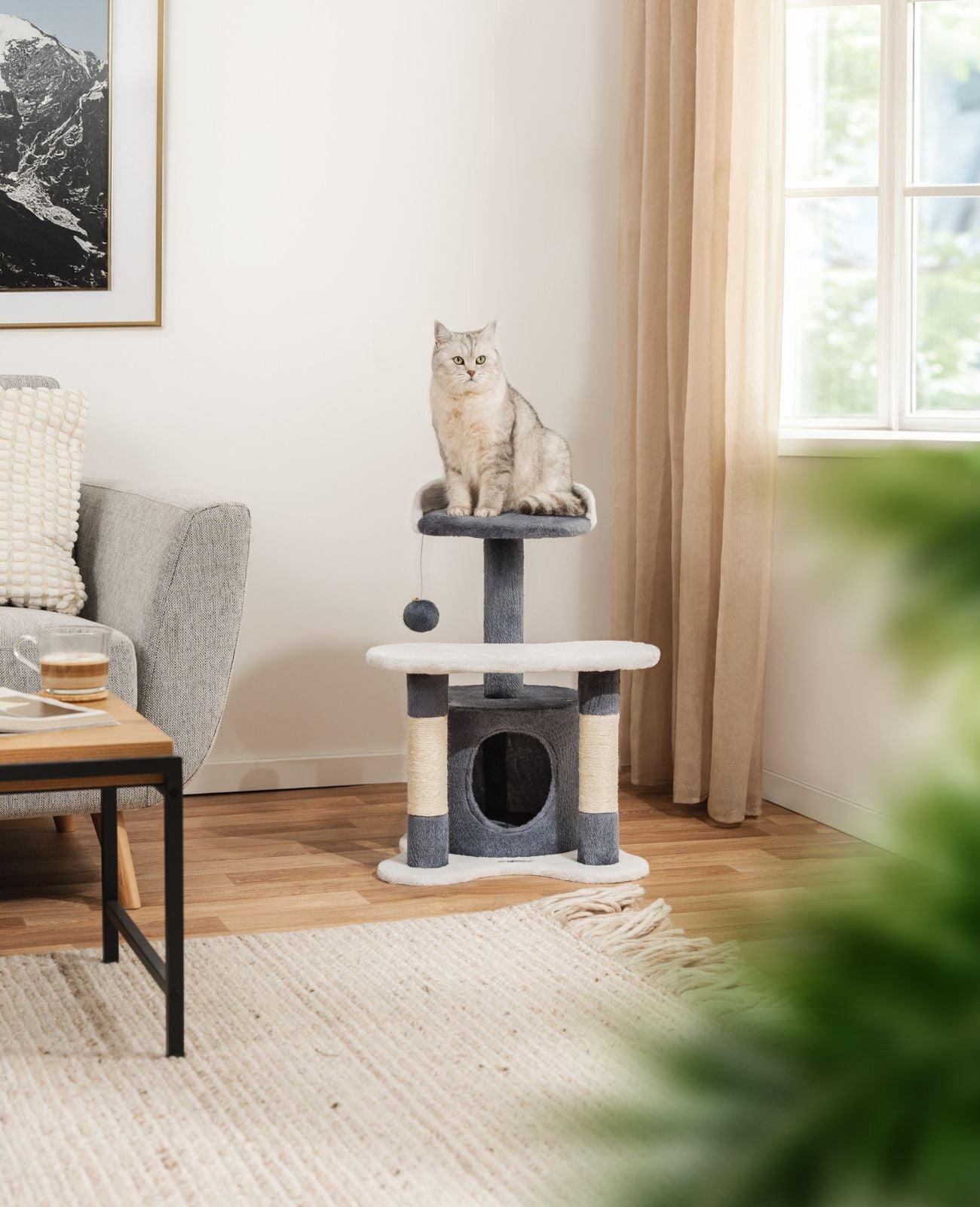 Katzenkratzbaum Höhe 65 cm