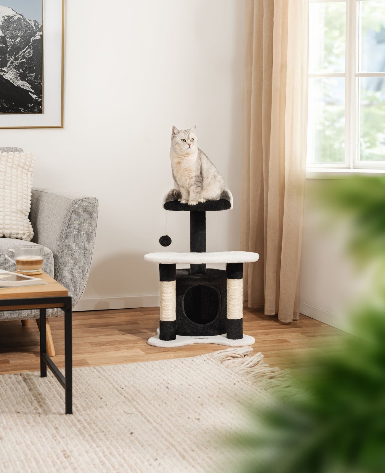 Katzenkratzbaum Höhe 65 cm