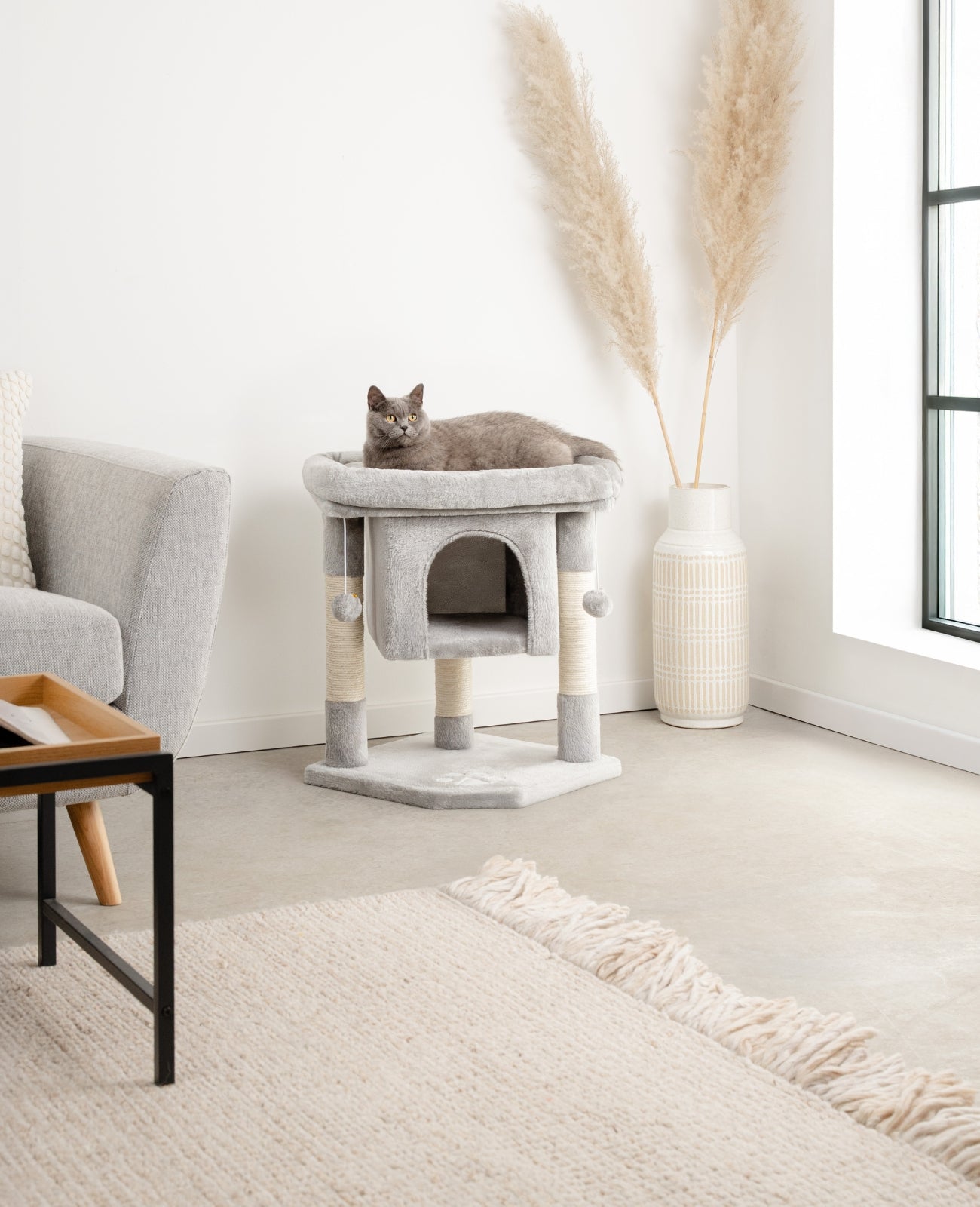 Arbre à chat hauteur 60 cm