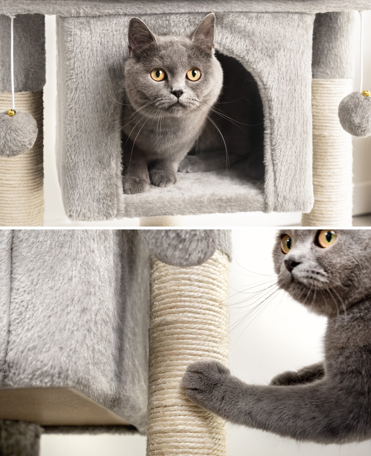 Arbre à chat, arbre à grimper, griffoir pour chat, H 60 cm, couleur au choix