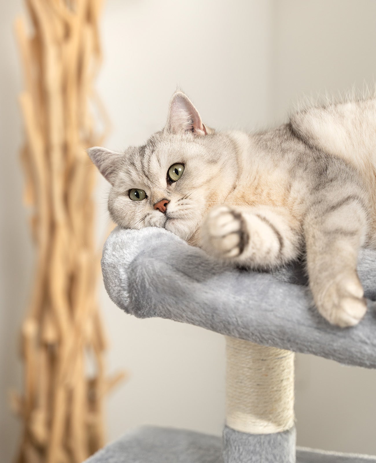 Arbre à chat hauteur 80 cm