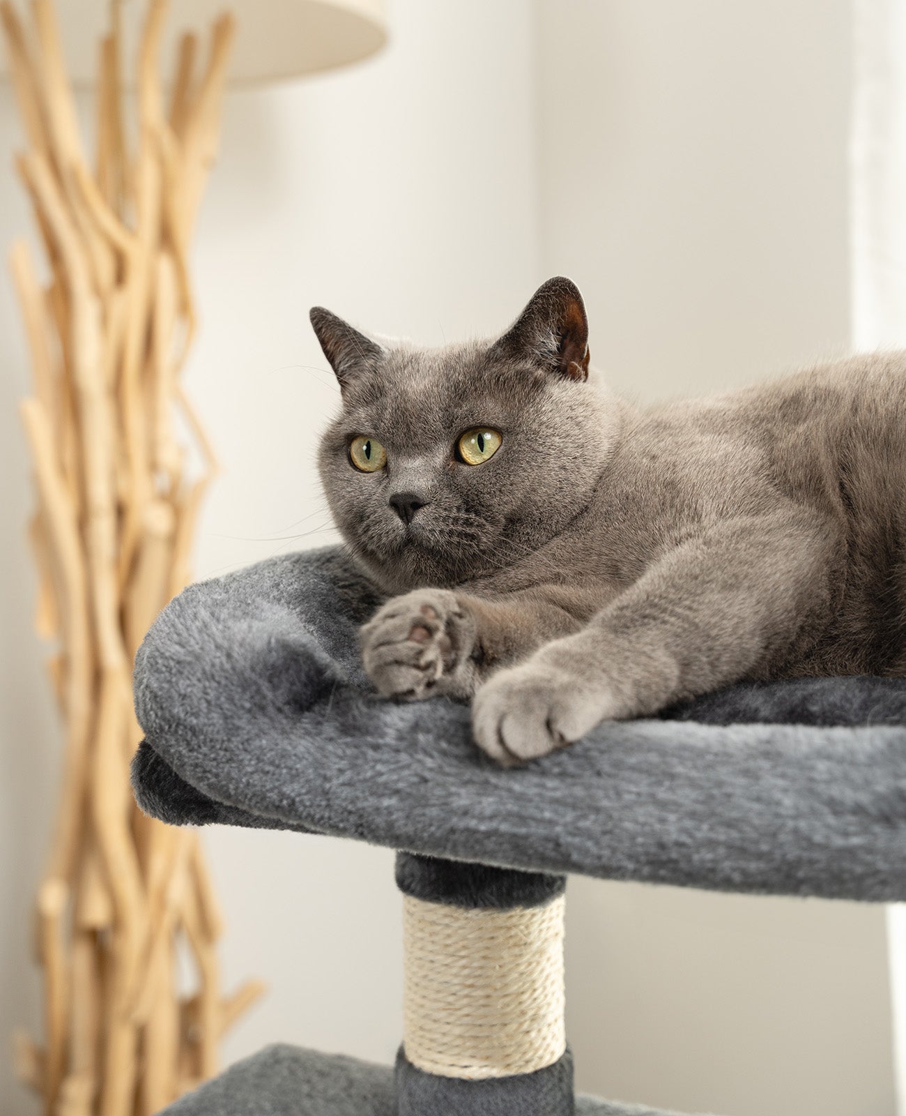 Arbre à chat hauteur 80 cm