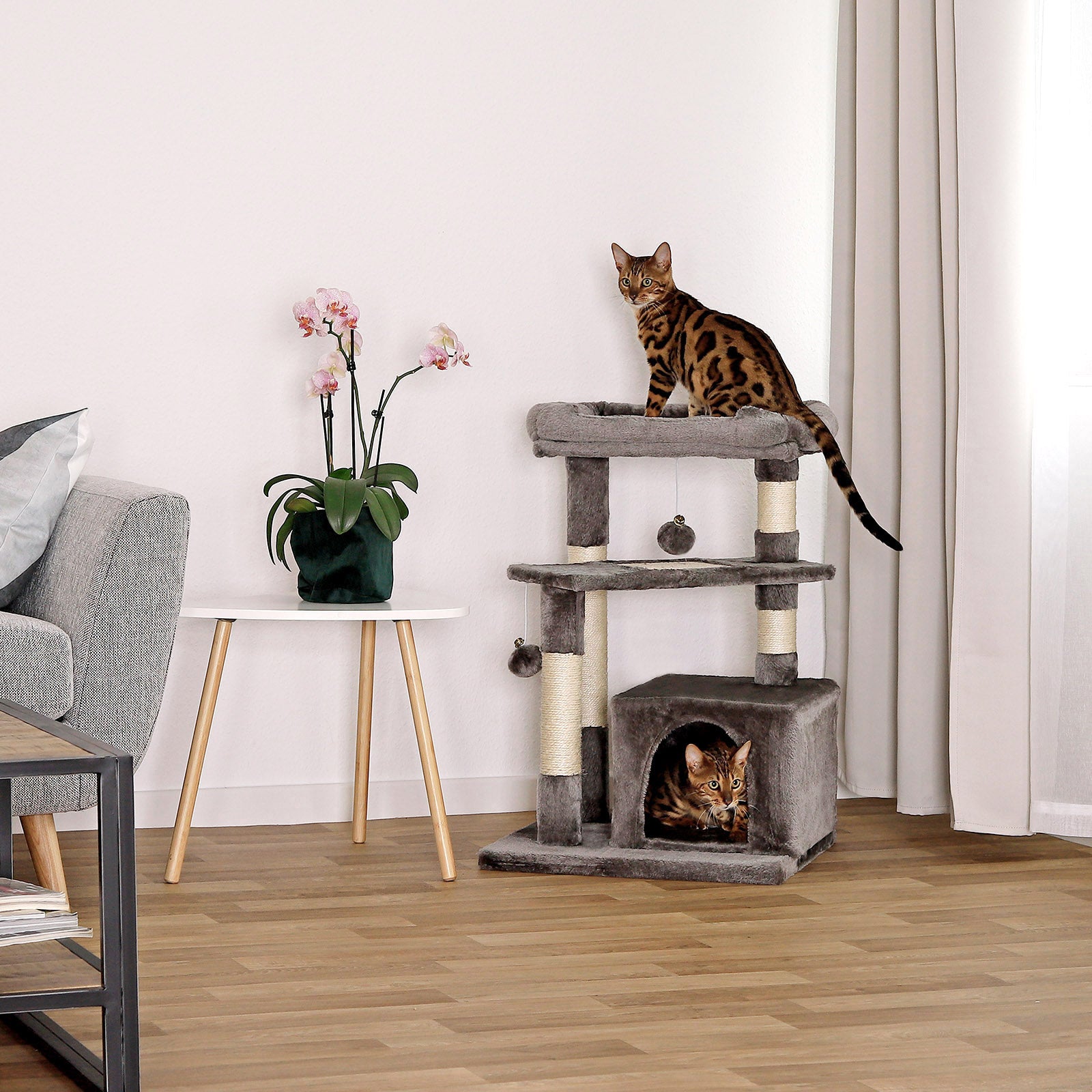 Arbre à chat hauteur 75 cm