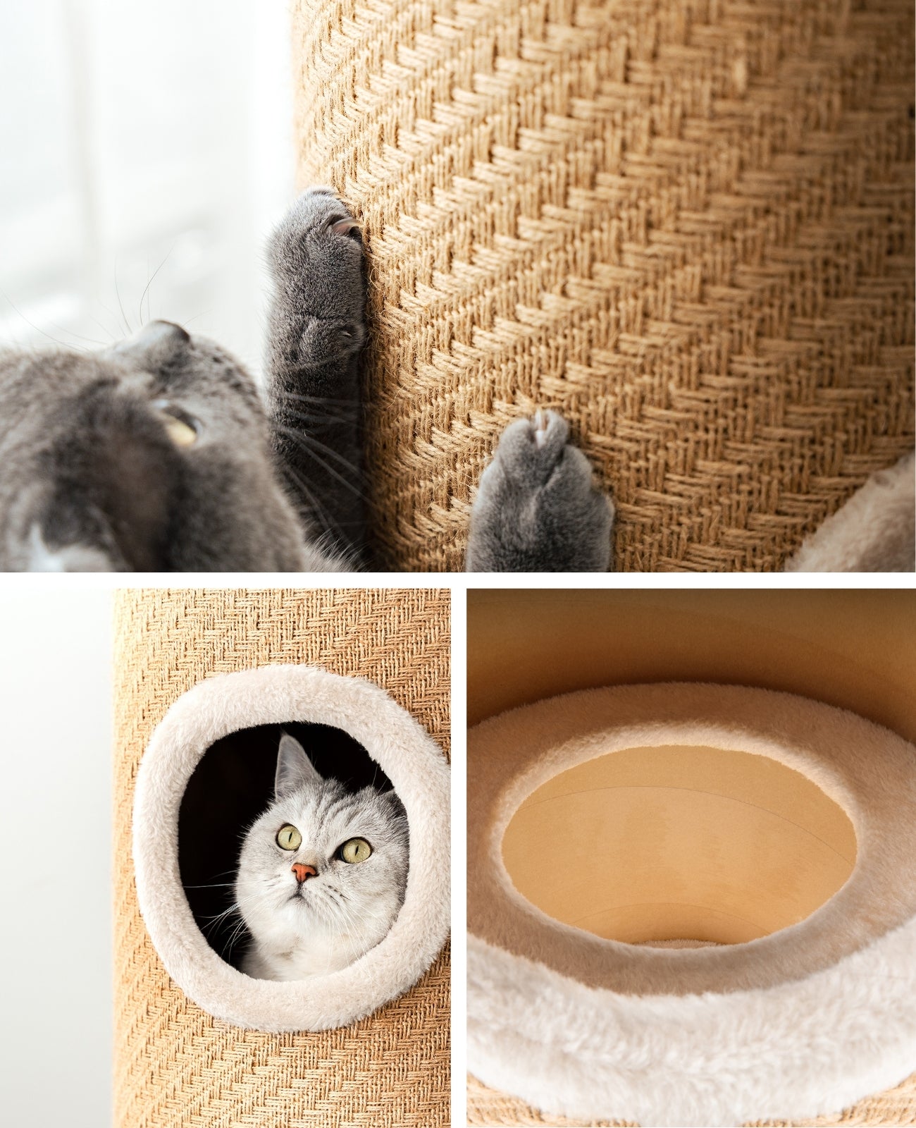 lionto Griffoir en jute, balle de jeu et bord en peluche, différentes hauteurs