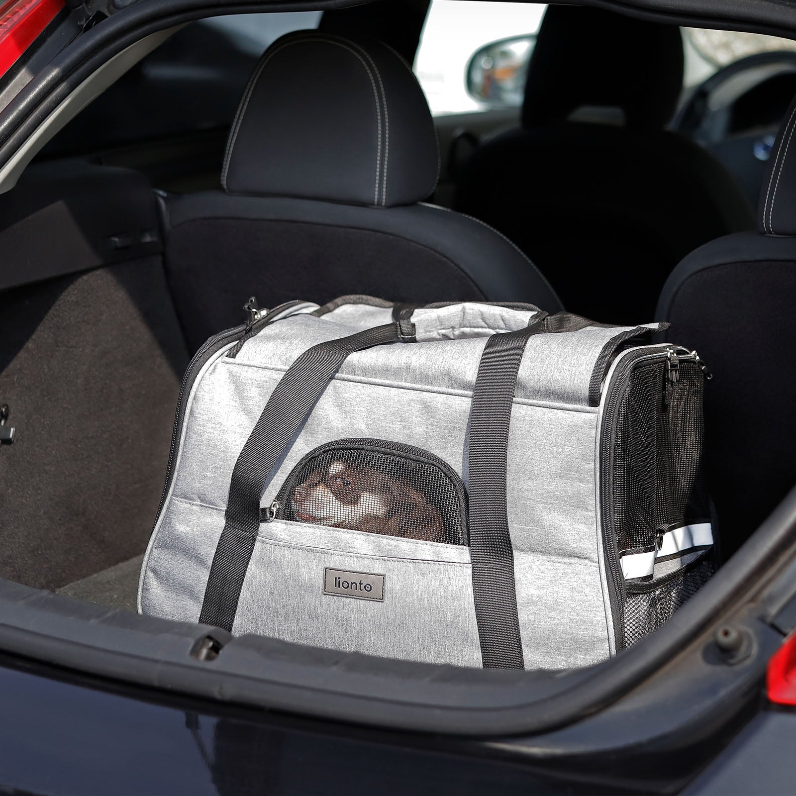 lionto Sac chien pliable Caisse chien Sac de voyage Caisse transport diverses couleurs