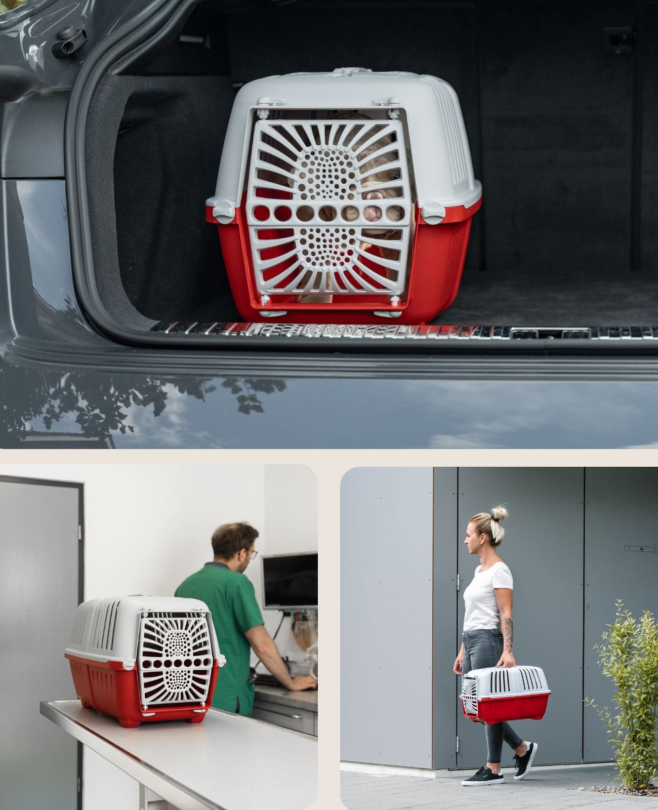 Caisse de transport pour chien en plastique