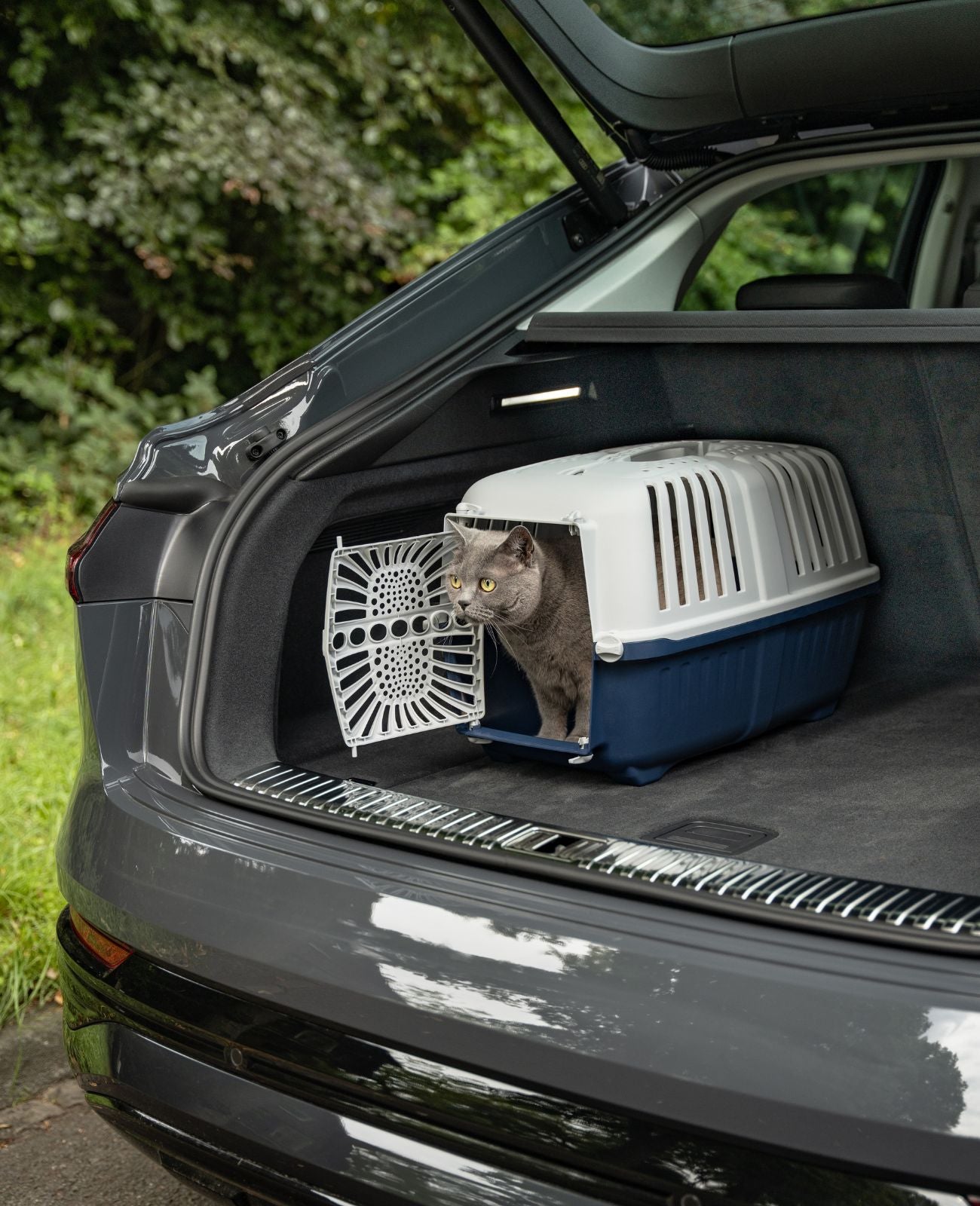 lionto Caisse de transport rigide lionto pour chats, différentes versions