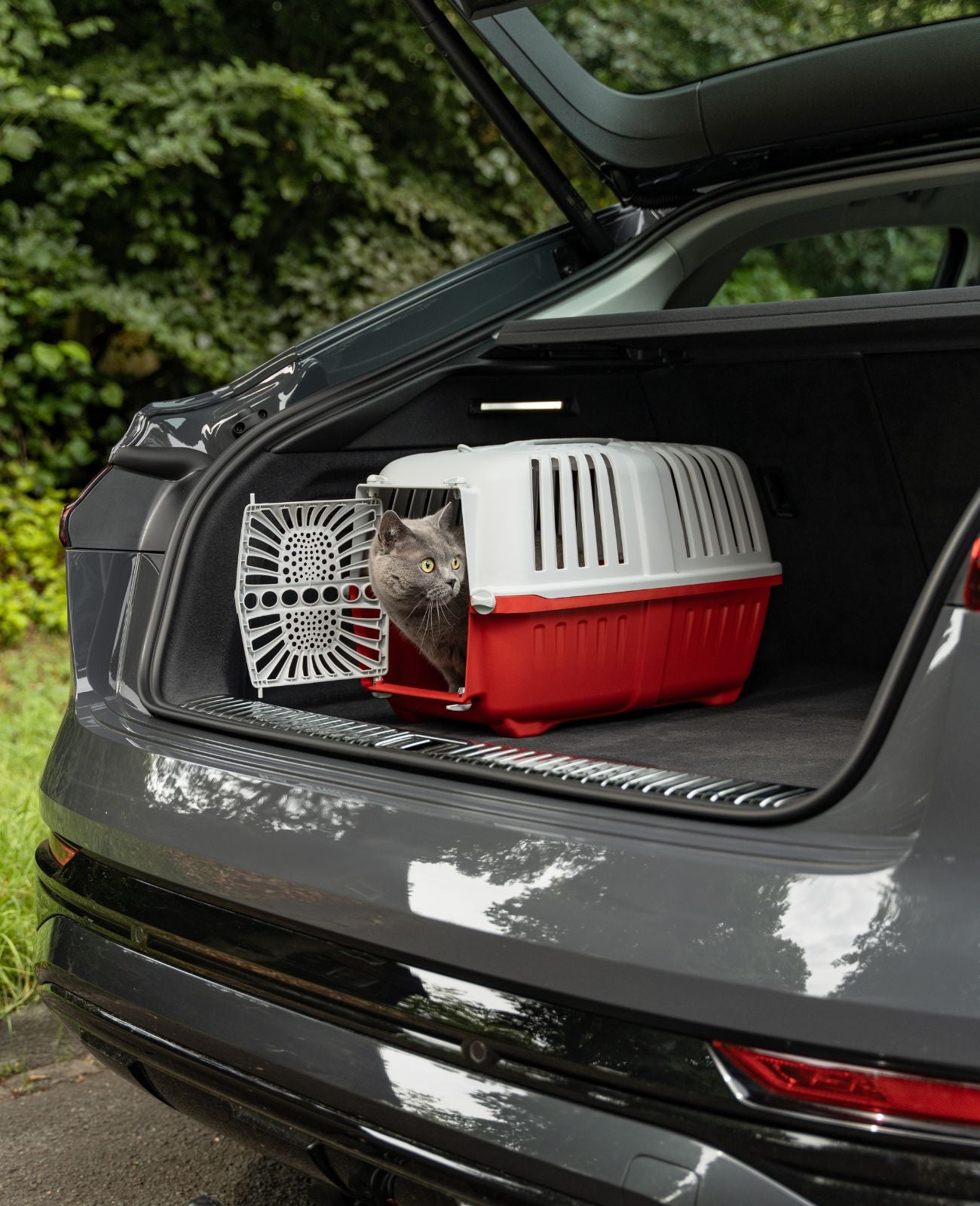 lionto Caisse de transport rigide lionto pour chats, différentes versions
