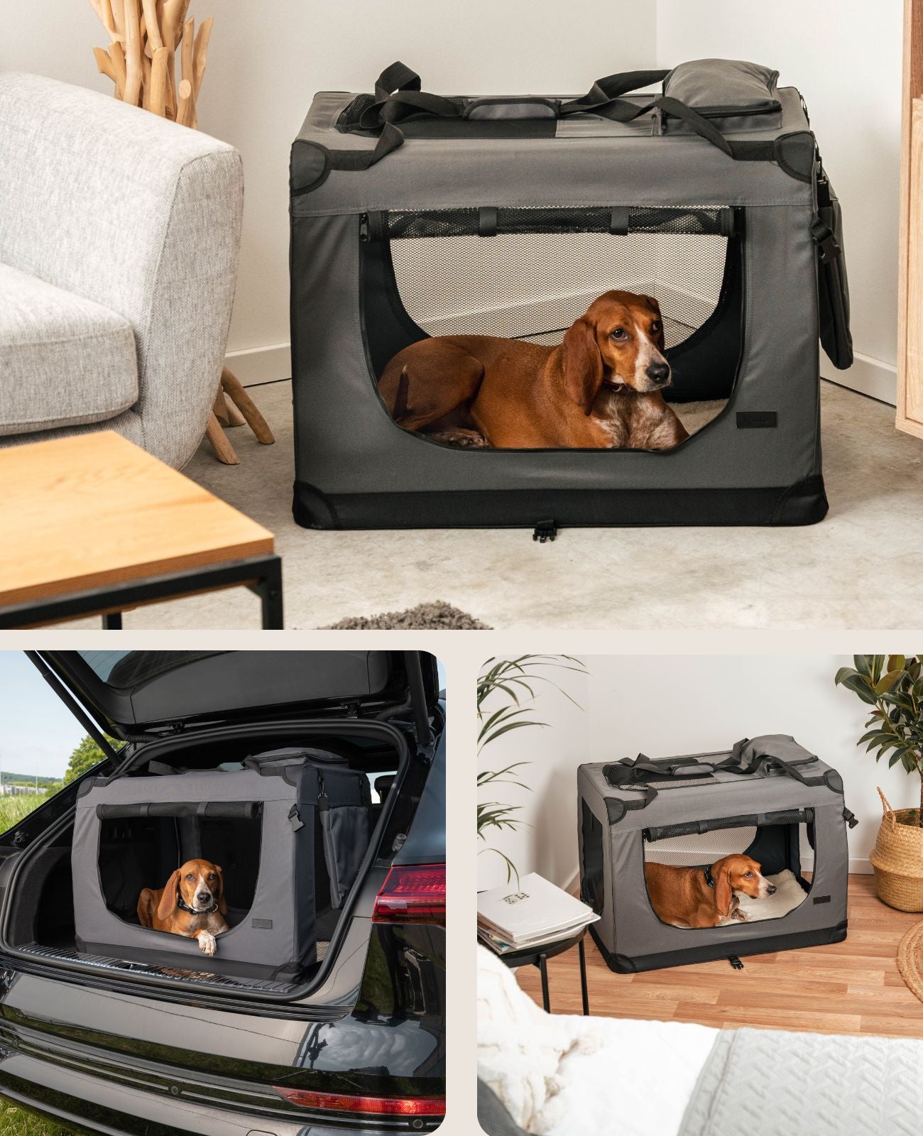 lionto Caisse de transport pliable pour chien (tailles S-XXXL et 4 couleurs)