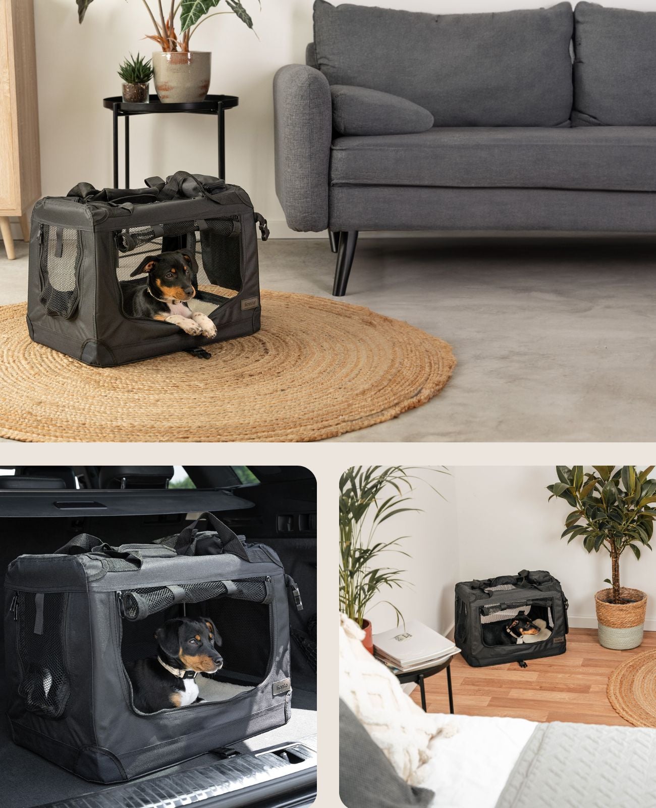 lionto Caisse de transport pliable pour chien (tailles S-XXXL et 4 couleurs)