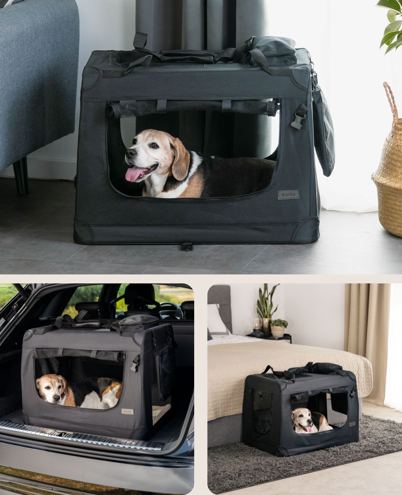 lionto Caisse de transport pliable pour chien (tailles S-XXXL et 4 couleurs)