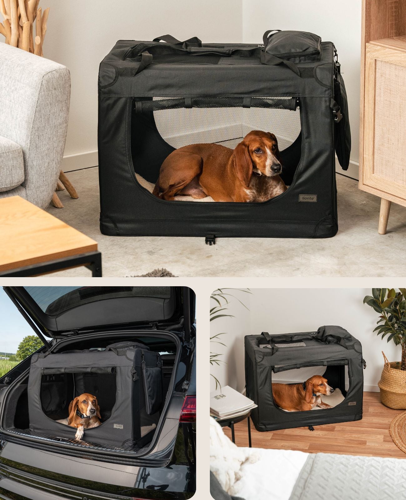 lionto Caisse de transport pliable pour chien (tailles S-XXXL et 4 couleurs)
