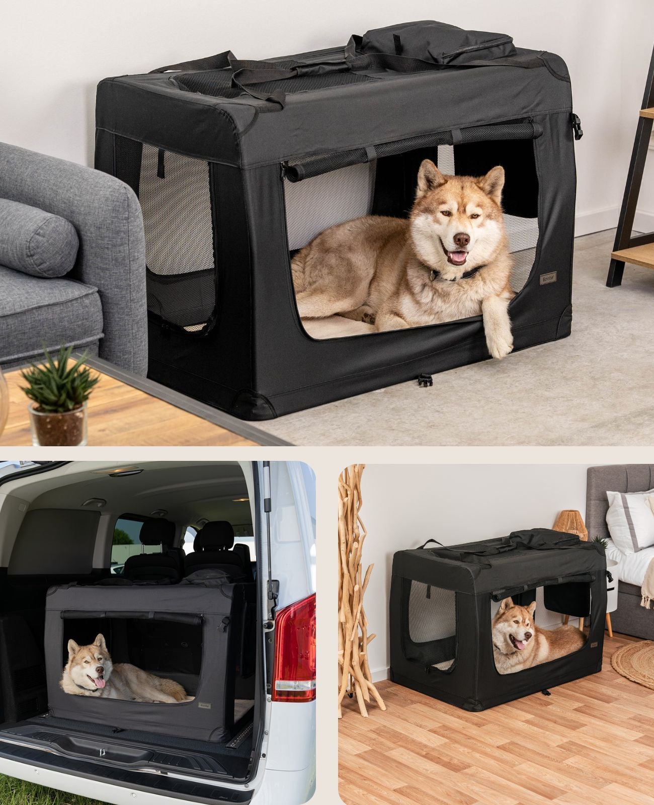 lionto Caisse de transport pliable pour chien (tailles S-XXXL et 4 couleurs)
