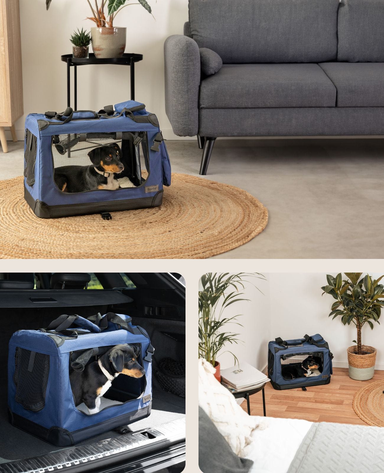 lionto Caisse de transport pliable pour chien (tailles S-XXXL et 4 couleurs)