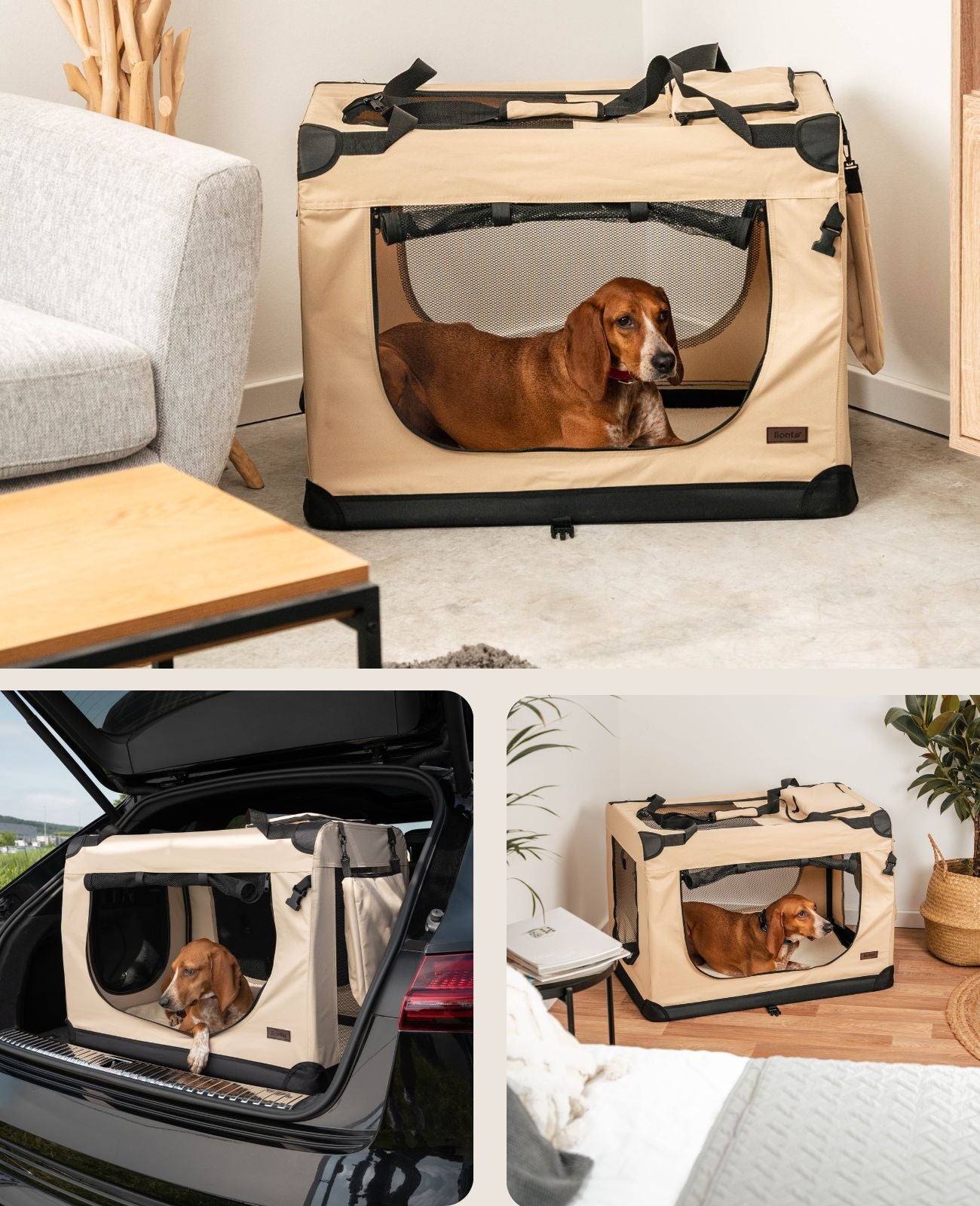lionto Caisse de transport pliable pour chien (tailles S-XXXL et 4 couleurs)