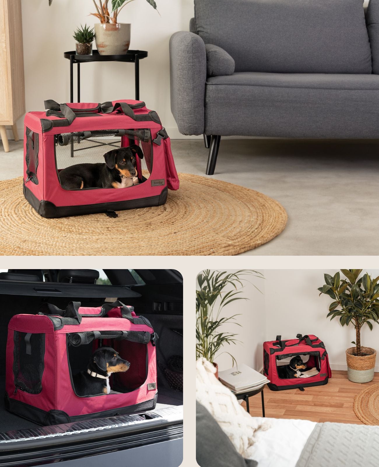 lionto Caisse de transport pliable pour chien (tailles S-XXXL et 4 couleurs)