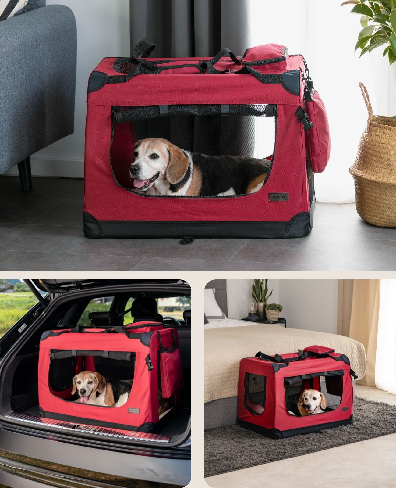lionto Caisse de transport pliable pour chien (tailles S-XXXL et 4 couleurs)