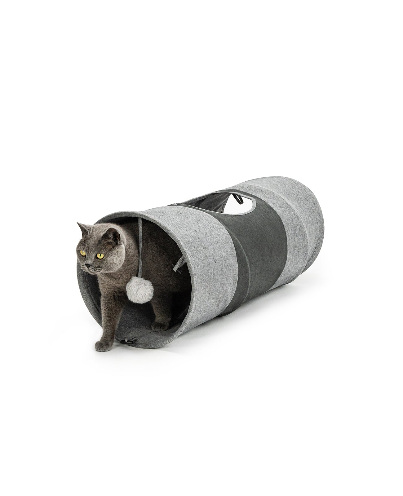 Tunnel pour chat avec balle de jeu