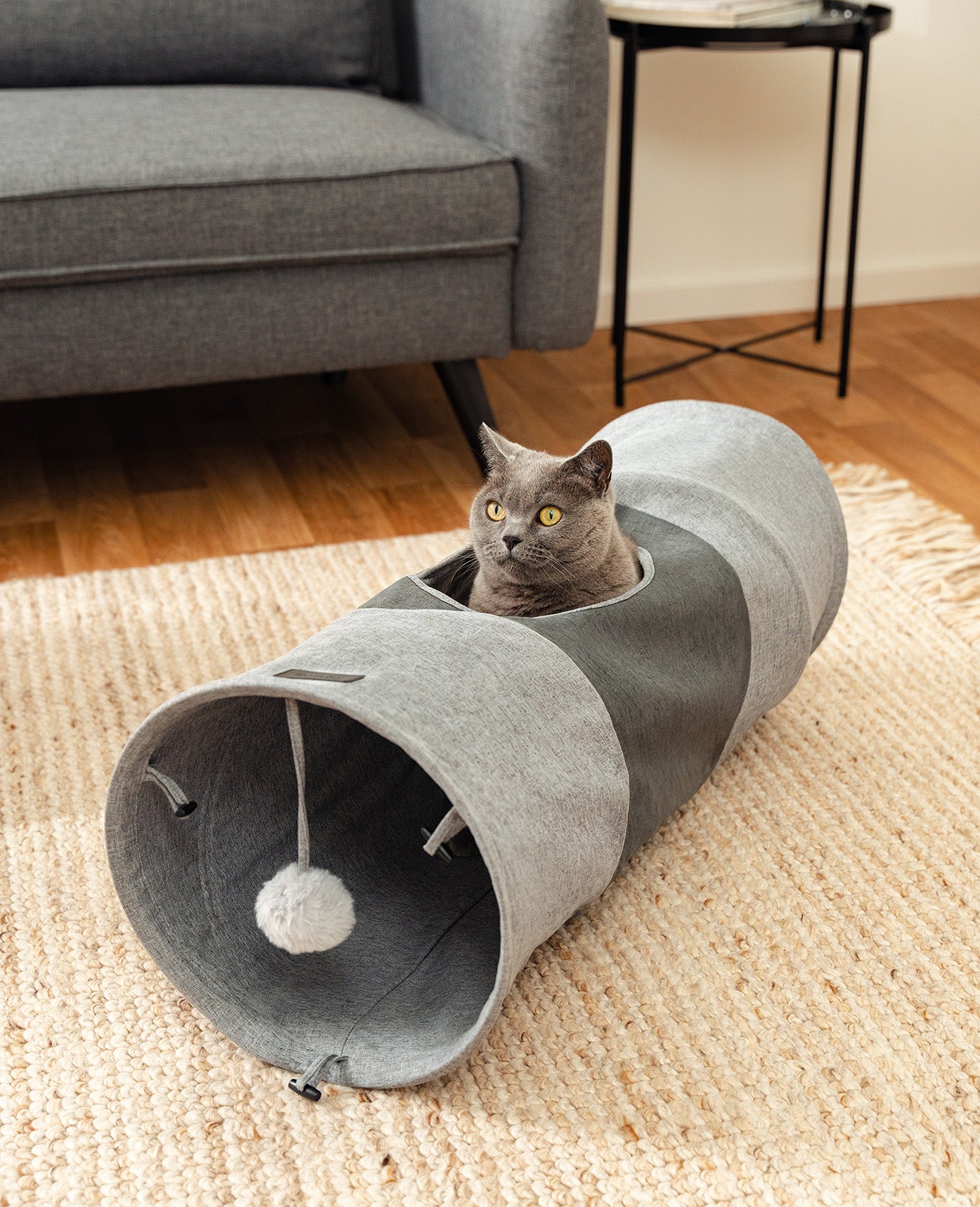 Tunnel pour chat avec balle de jeu