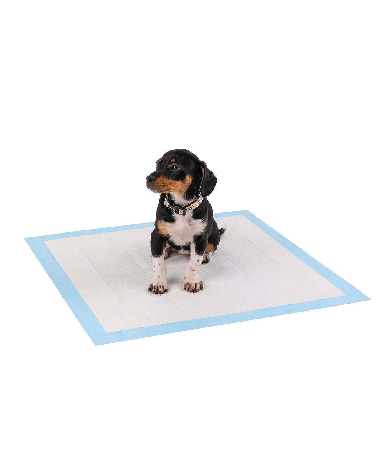 lionto Tapis hygiénique pour chiens à 6 épaisseurs, nombreux modèles