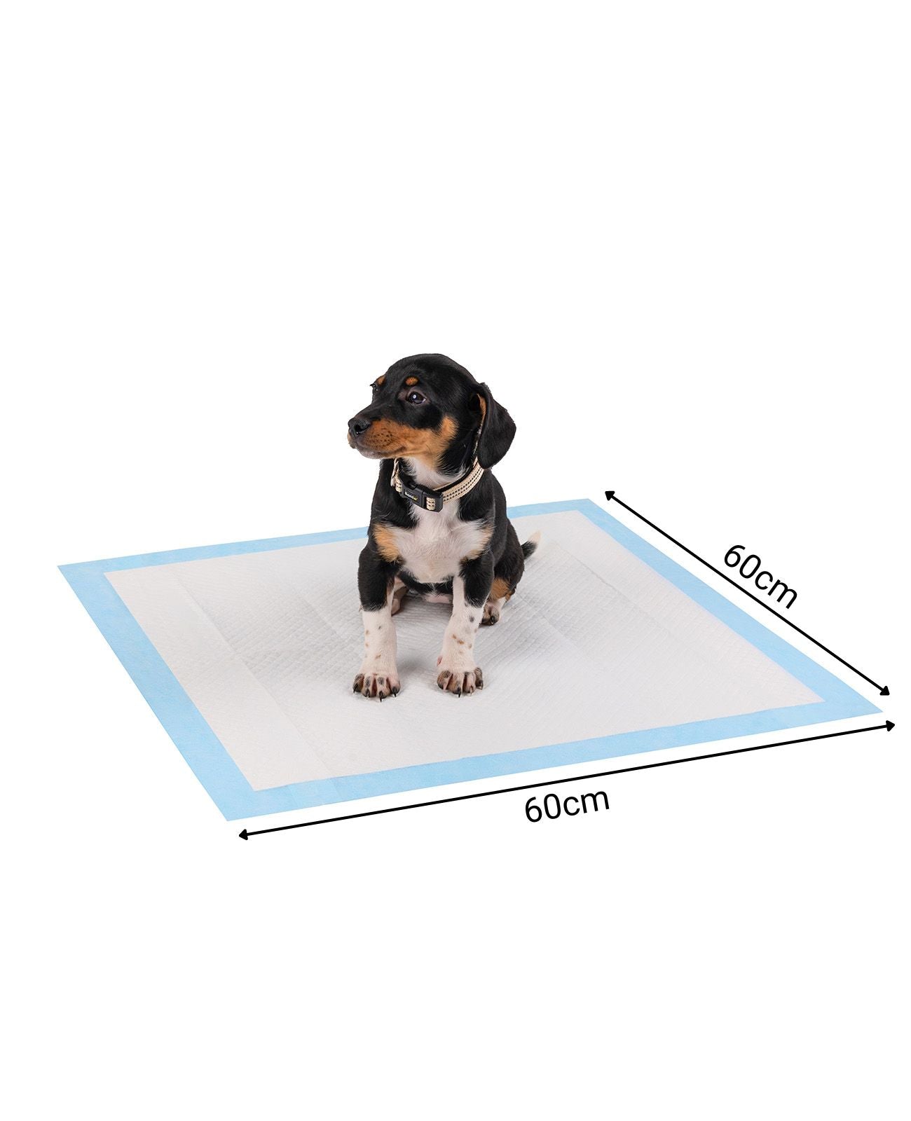 lionto Tapis hygiénique pour chiens à 6 épaisseurs, nombreux modèles