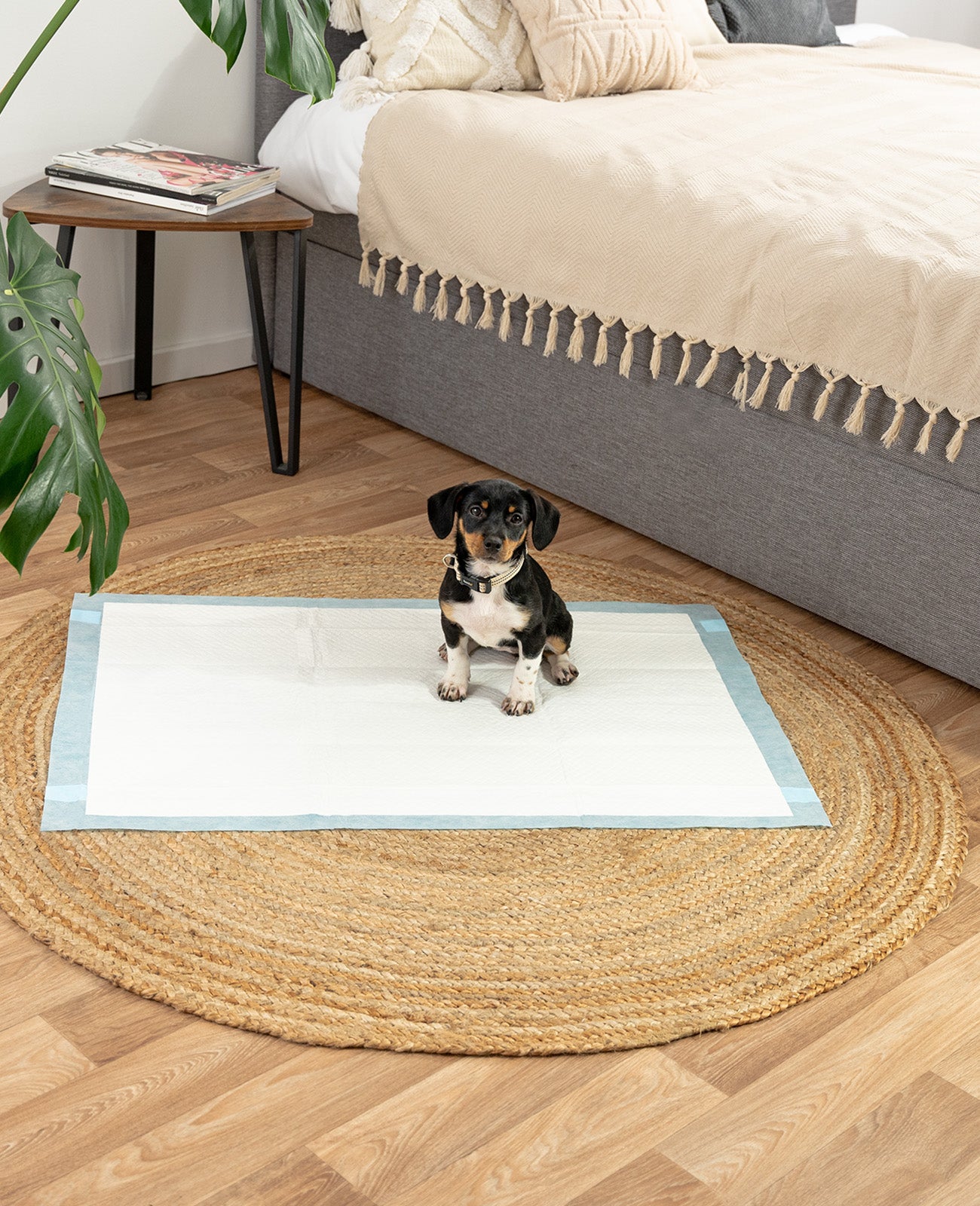 lionto Tapis hygiénique pour chiens à 6 épaisseurs, nombreux modèles