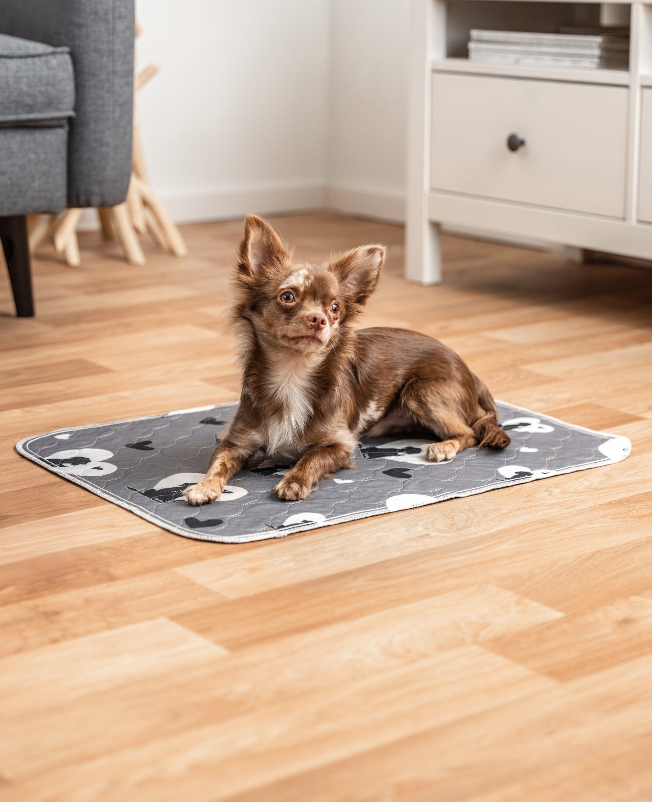lionto Tapis pour chiots réutilisables, lot de 2, antidérapants,gris