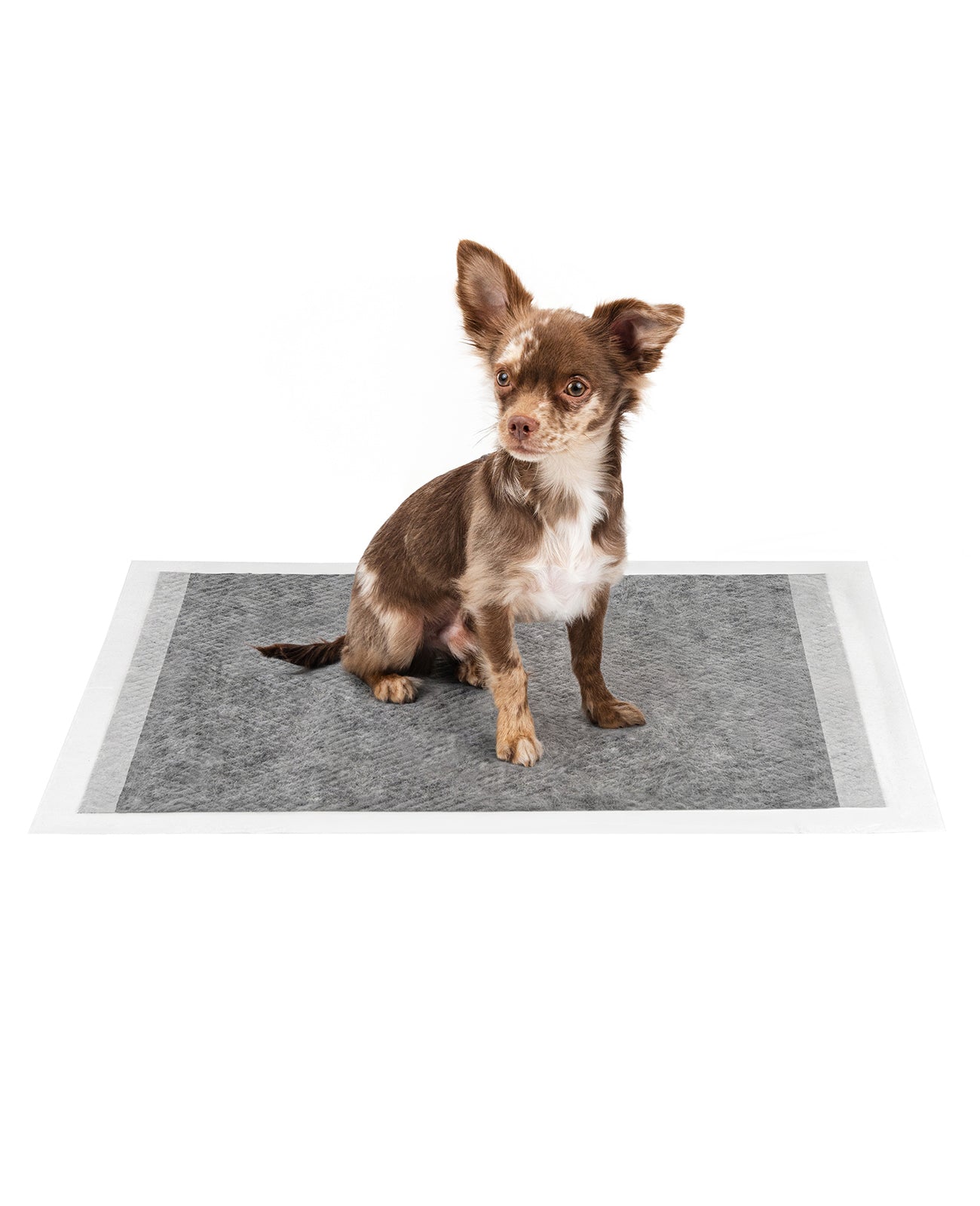 lionto Tapis hygiénique pour chiens à 6 épaisseurs, nombreux modèles