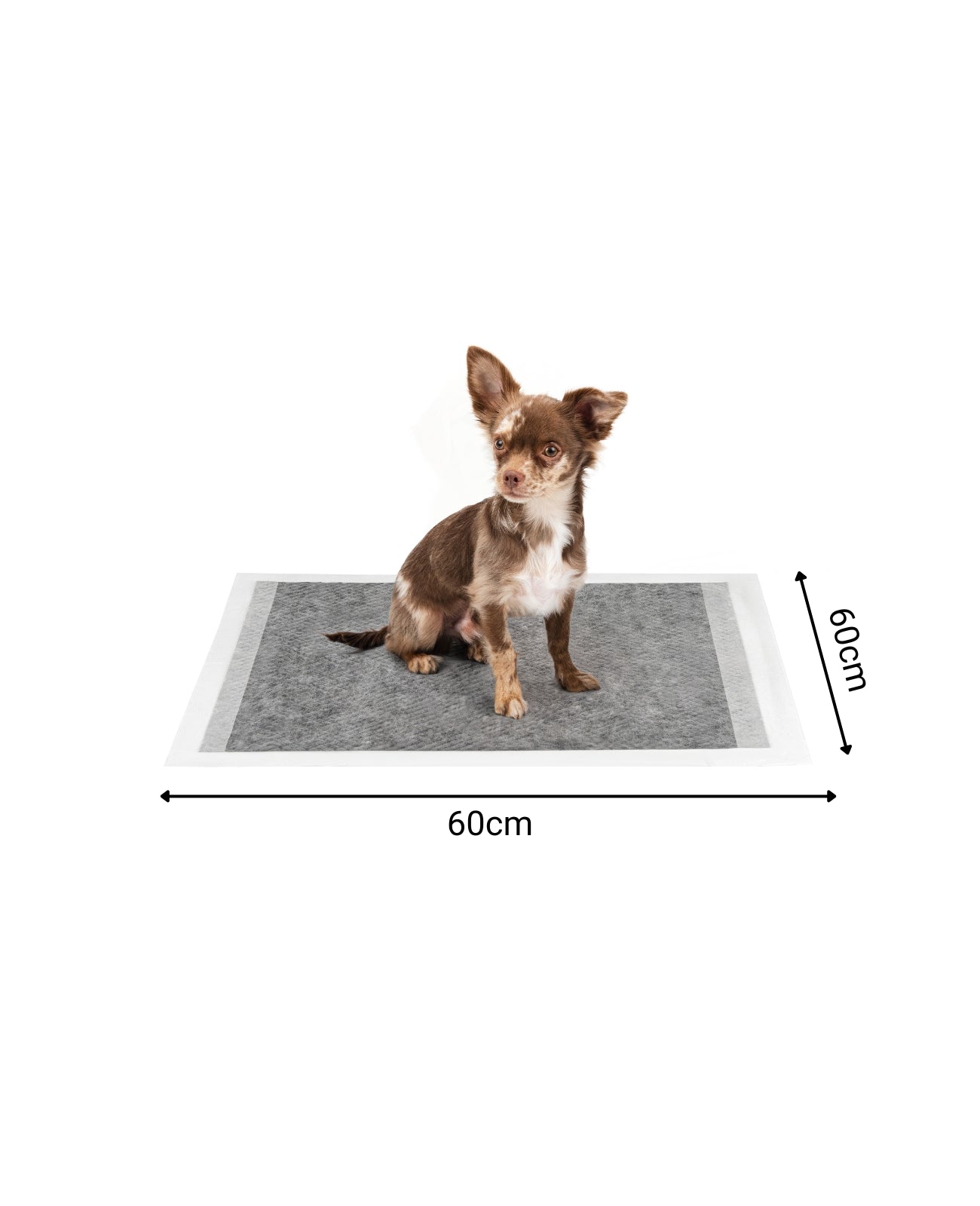 lionto Tapis hygiénique pour chiens à 6 épaisseurs, nombreux modèles