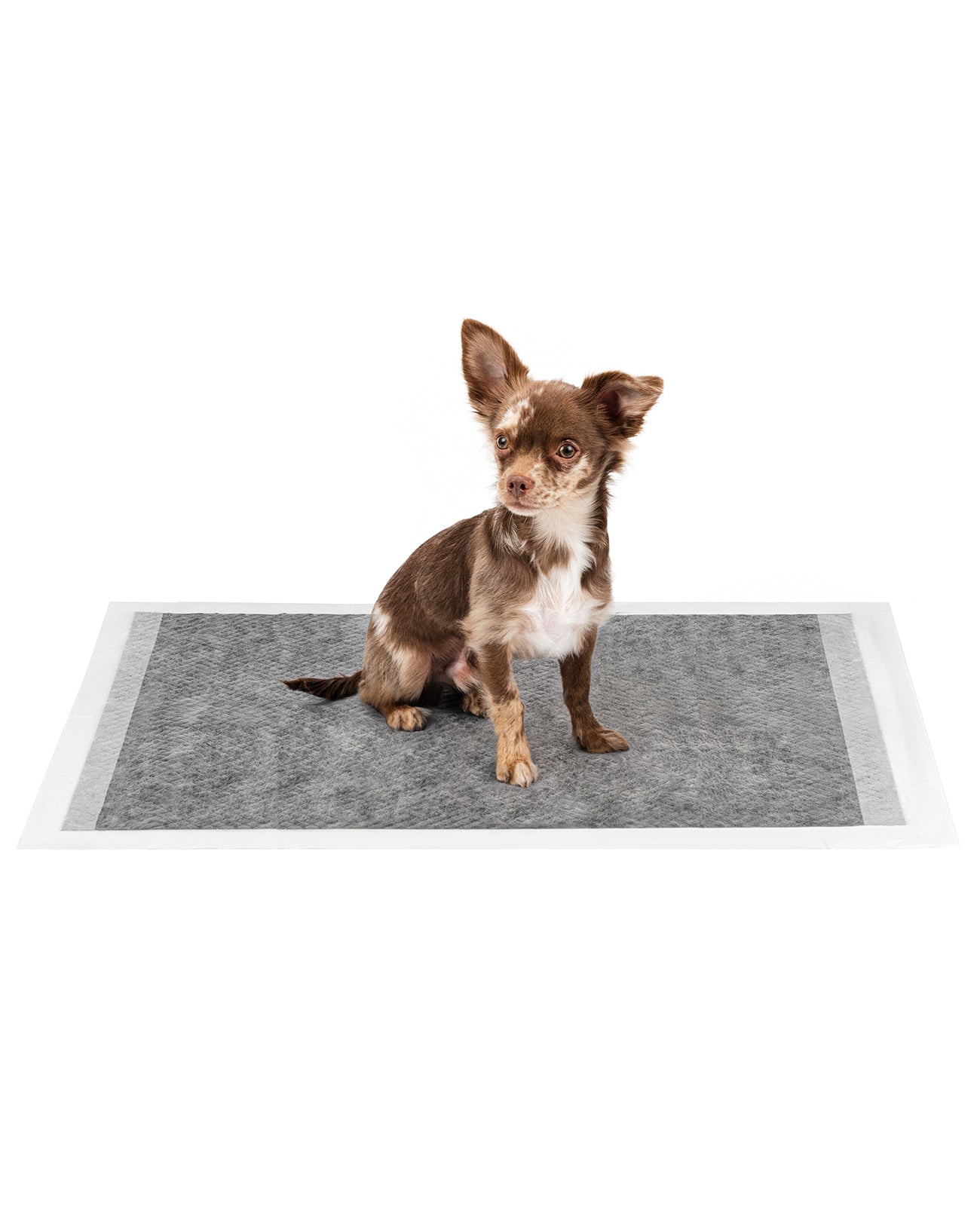 lionto Tapis hygiénique pour chiens à 6 épaisseurs, nombreux modèles