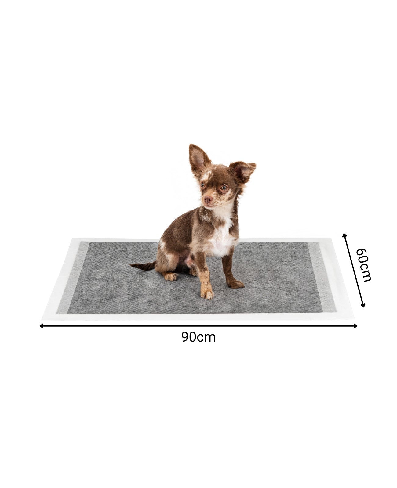 lionto Tapis hygiénique pour chiens à 6 épaisseurs, nombreux modèles