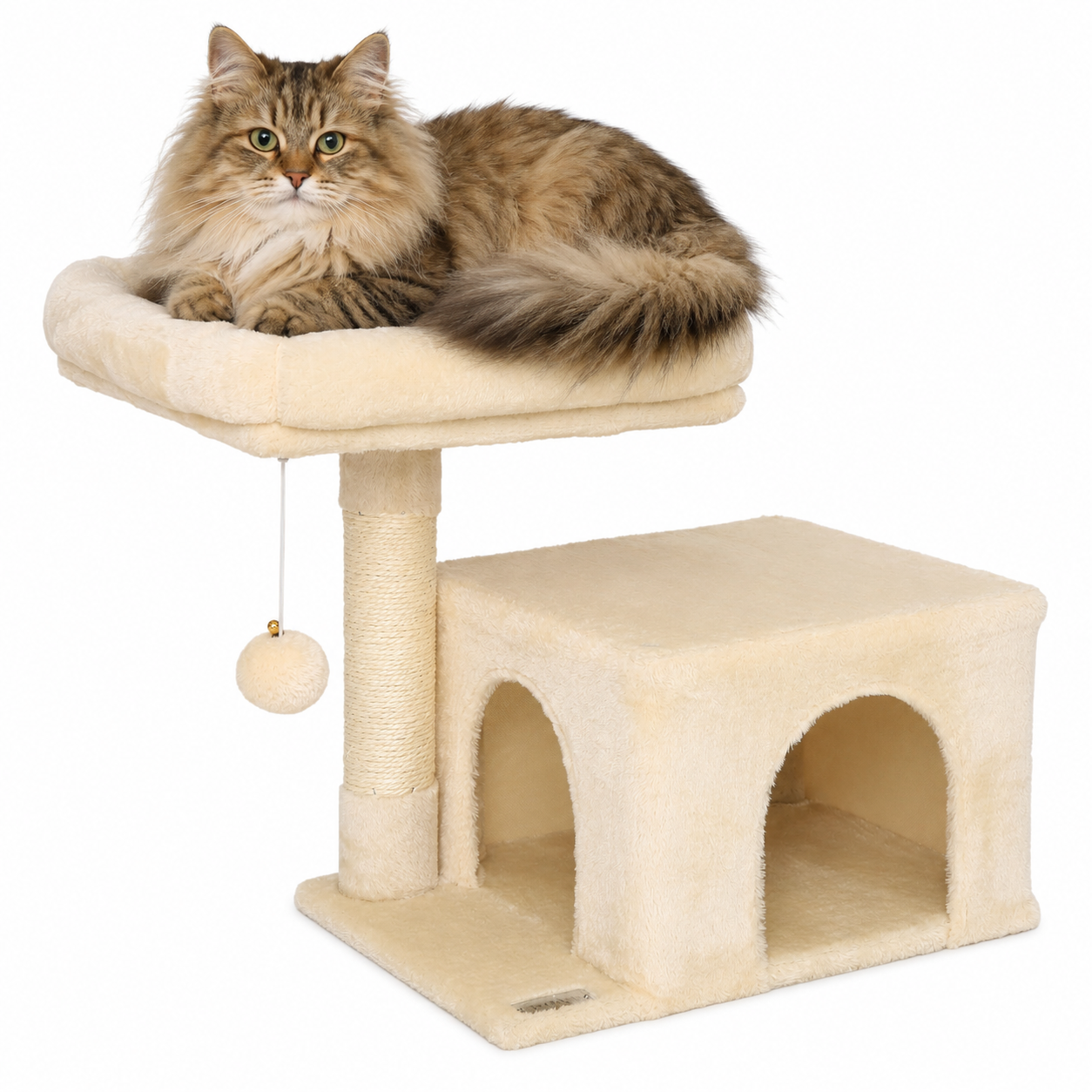 Arbre-griffoir chat arbre d'escalade arbre à chat hauteur 50 cm divers coloris