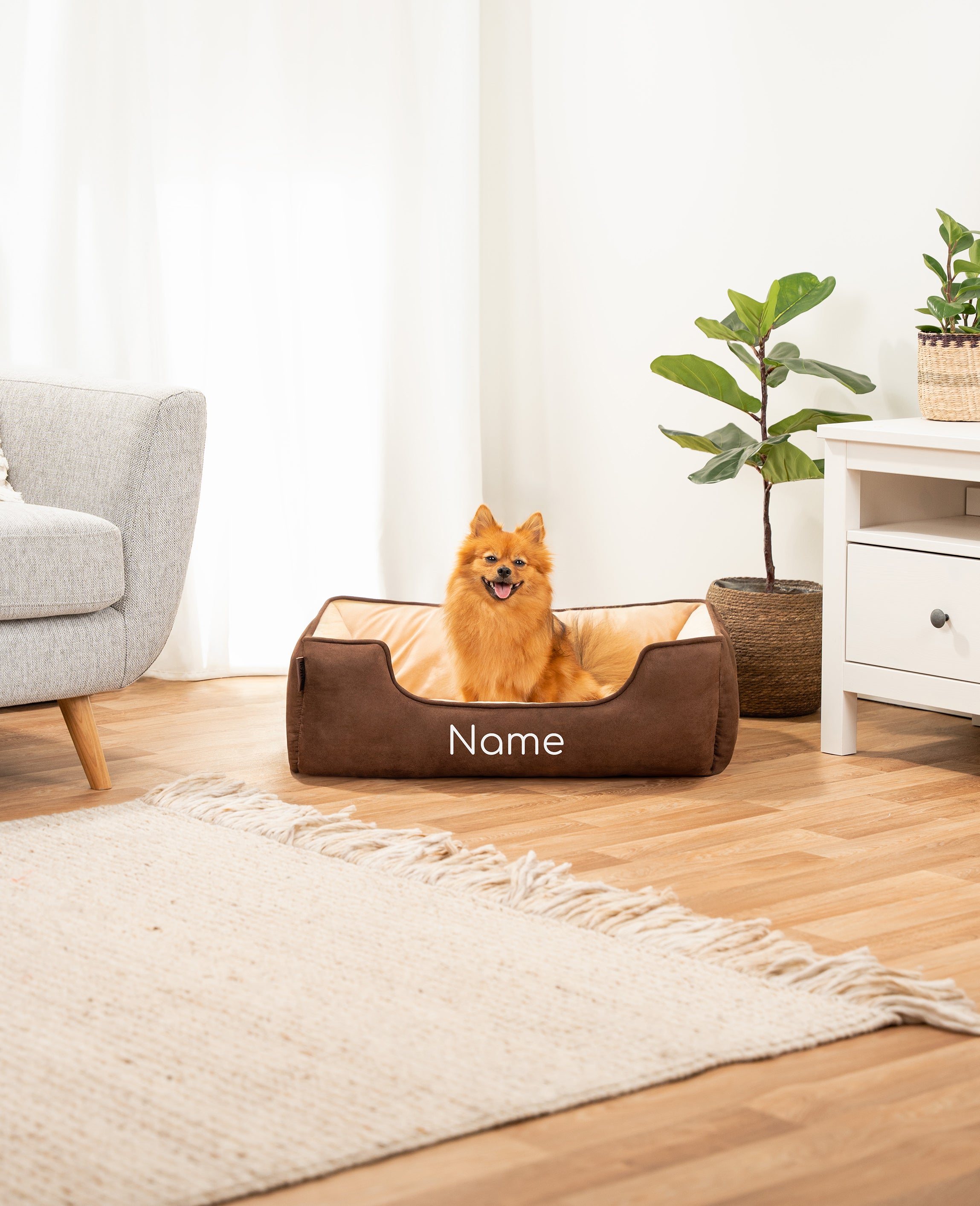 Hund sitzt in personalisiertem Hundekissen aus Wildlederimitat in braun/beige im Wohnzimmer