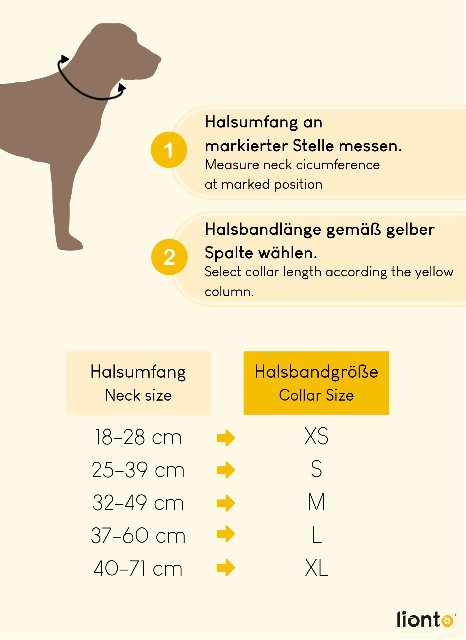 Collier pour chien rembourré, personnalisé