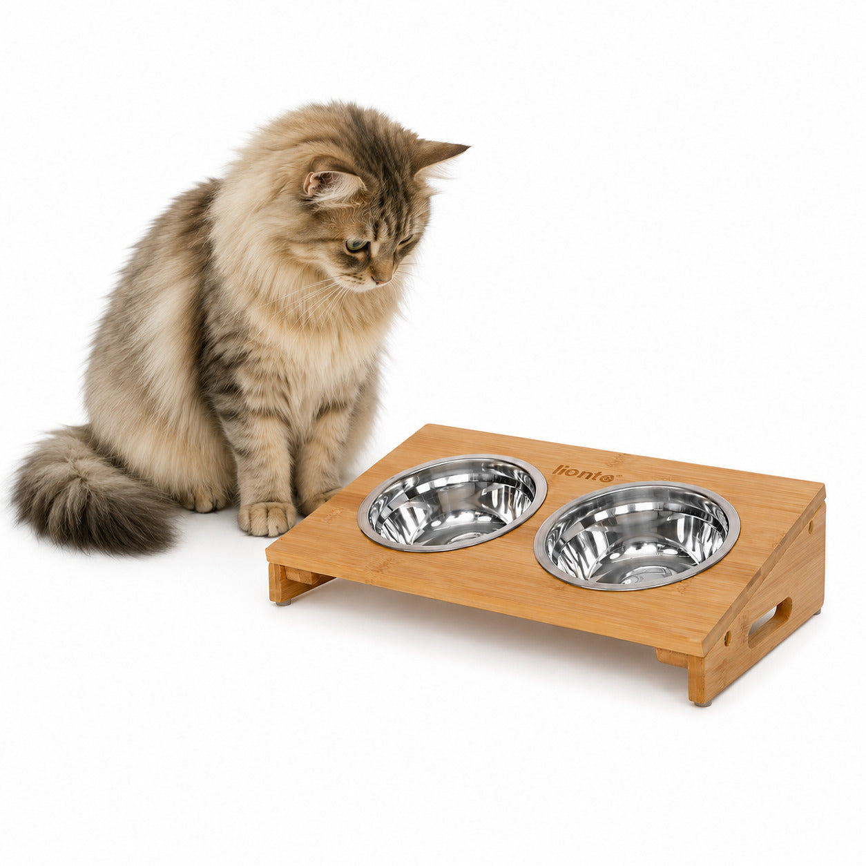 lionto Gamelle pour chat surélevée bambou distributeur de nourriture chats