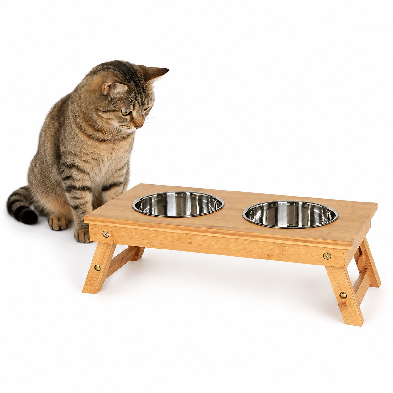 lionto Gamelle pour chat distributeur de nourriture bar animaux mangeoire chats