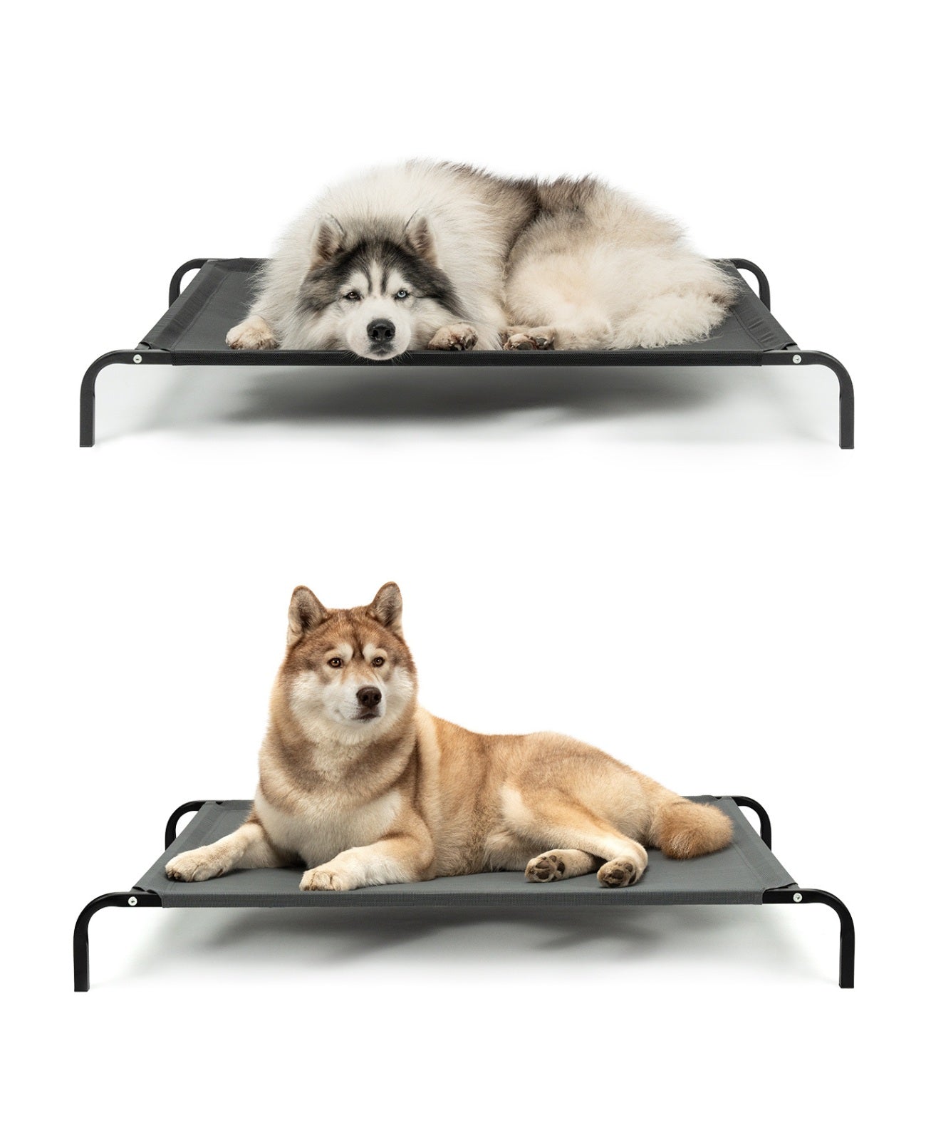 Chaise longue surélevée pour chien pour la maison et le jardin