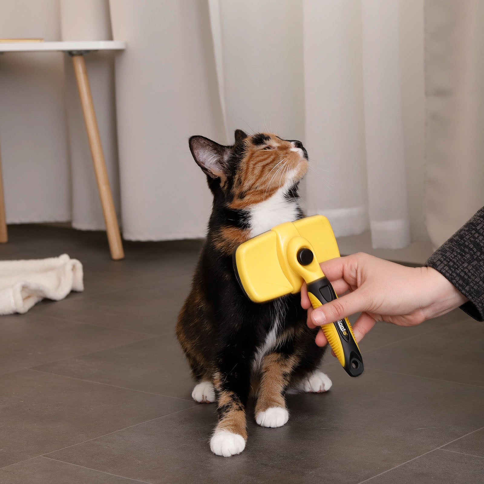 lionto Brosses pour chats brosses pour le toilettage diff. variantes