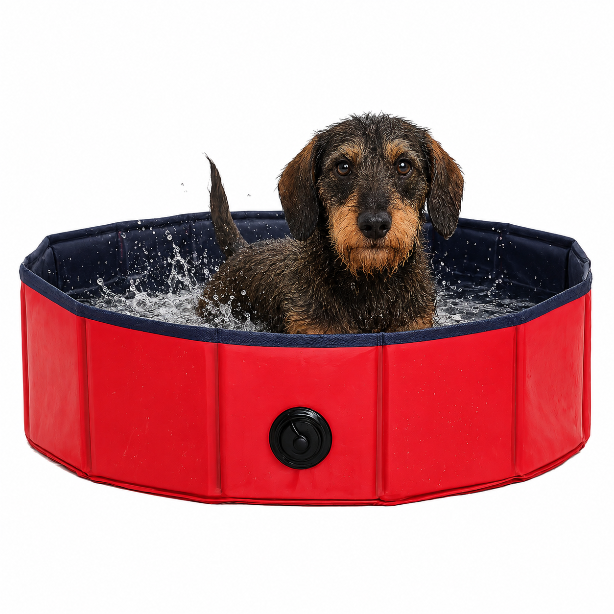 lionto Piscine pour chien pliable en PVC, bassin pour chiens, baignoir pour chien